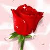 ImagesCA3IBZWN