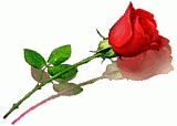 الصورة الرمزية محتار 7
